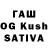 Бошки марихуана White Widow Russel Rivera