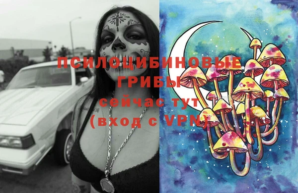 винт Абинск