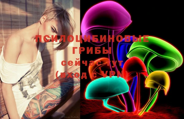 винт Абинск